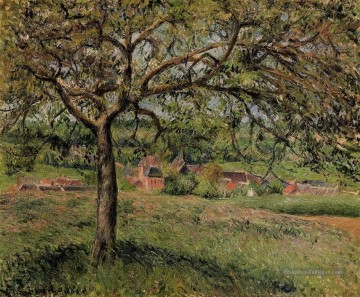 pommier à eragny 1884 Camille Pissarro Peinture à l'huile